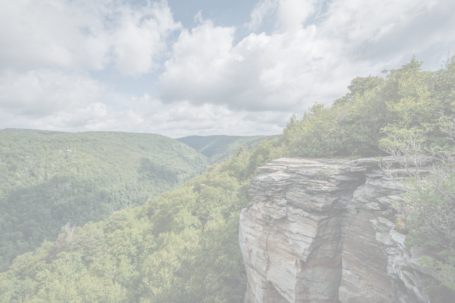 The West Virginia Republican Party Issues Statement On Republican Voter the-west-virginia-republican-party-issues-statement-on-republican-voter